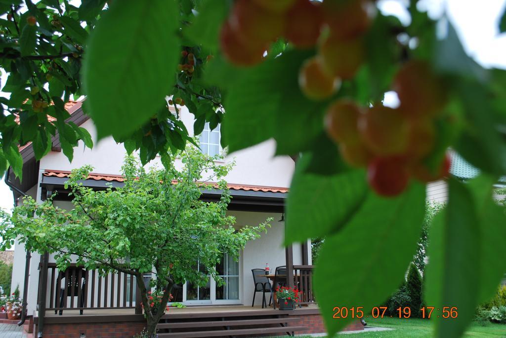 Vila Joana Palanga Bagian luar foto